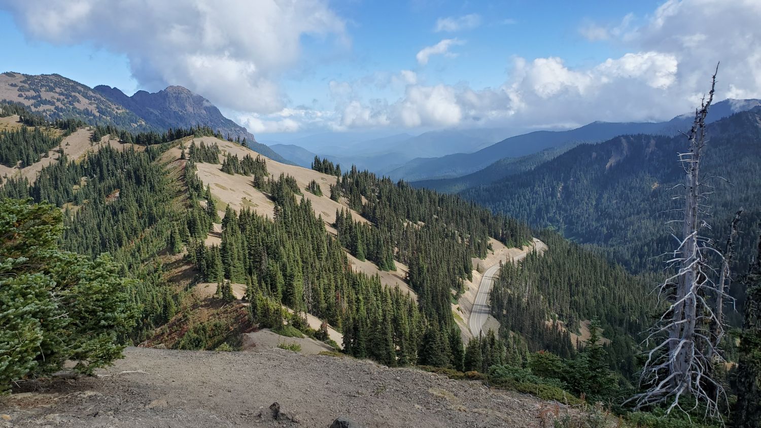 Olympic NP 